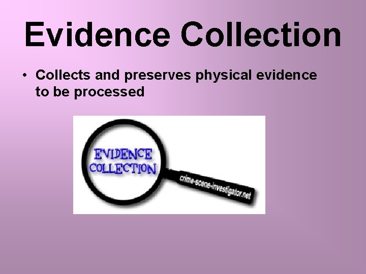 Evidence Collection • Collects and preserves physical evidence to be processed 