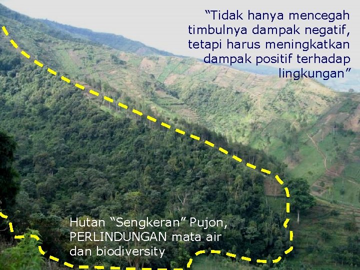 “Tidak hanya mencegah timbulnya dampak negatif, tetapi harus meningkatkan dampak positif terhadap lingkungan” Hutan