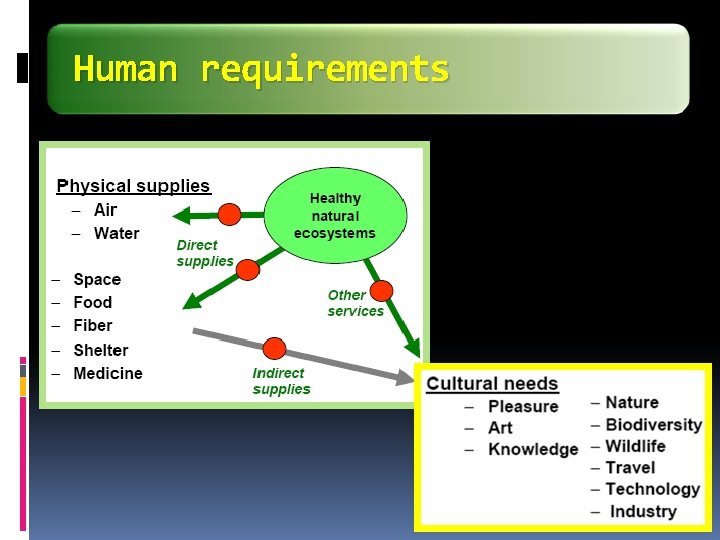 Human requirements 