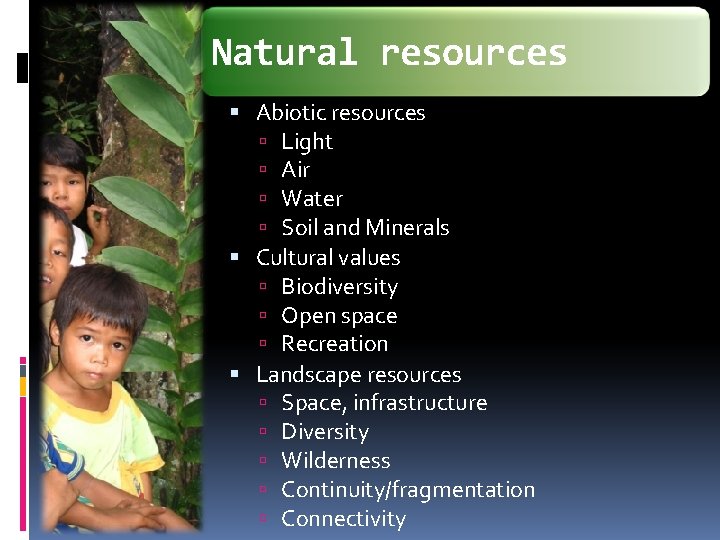 Natural resources Abiotic resources Light Air Water Soil and Minerals Cultural values Biodiversity Open