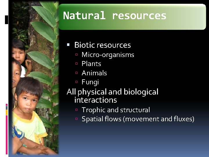 Natural resources Biotic resources Micro-organisms Plants Animals Fungi All physical and biological interactions Trophic