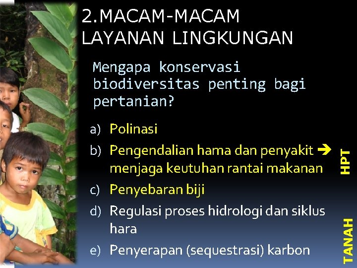 2. MACAM-MACAM LAYANAN LINGKUNGAN TANAH a) Polinasi b) Pengendalian hama dan penyakit menjaga keutuhan