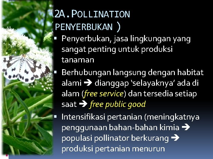 A 2 A. POLLINATION (PENYERBUKAN ) Penyerbukan, jasa lingkungan yang sangat penting untuk produksi