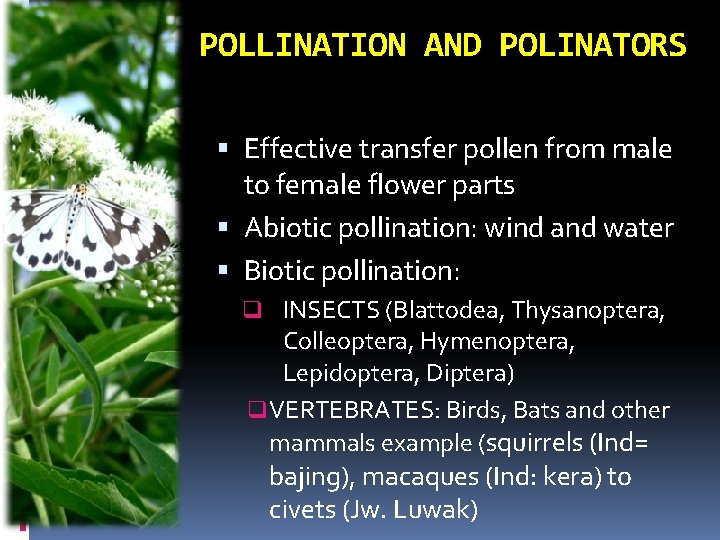 POLLINATION AND POLINATORS Effective transfer pollen from male to female flower parts Abiotic pollination: