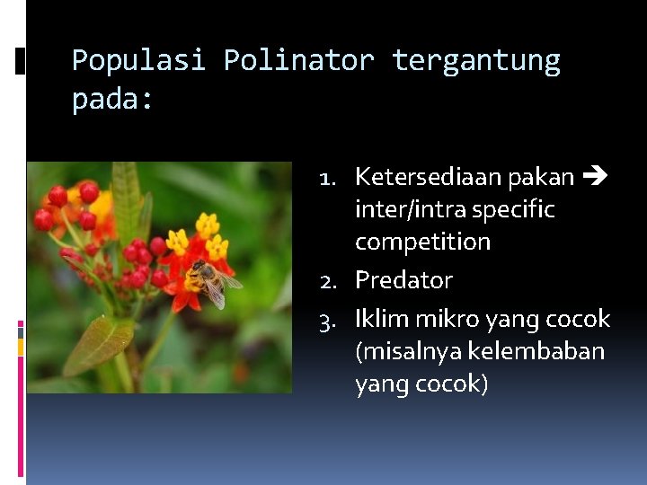 Populasi Polinator tergantung pada: 1. Ketersediaan pakan inter/intra specific competition 2. Predator 3. Iklim