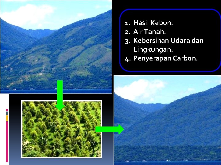 1. Hasil Kebun. 2. Air Tanah. 3. Kebersihan Udara dan Lingkungan. 4. Penyerapan Carbon.