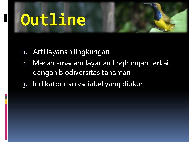 Outline 1. Arti layanan lingkungan 2. Macam-macam layanan lingkungan terkait dengan biodiversitas tanaman 3.