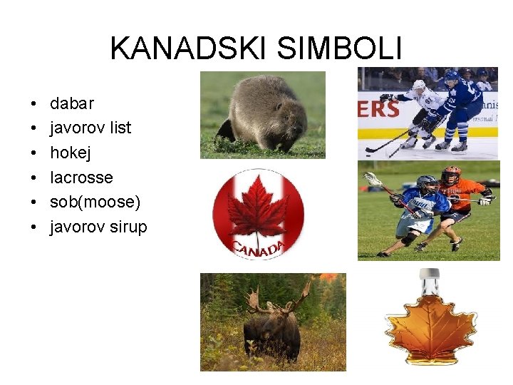 KANADSKI SIMBOLI • • • dabar javorov list hokej lacrosse sob(moose) javorov sirup 
