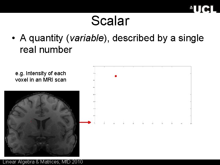 Scalar • A quantity (variable), described by a single real number e. g. Intensity