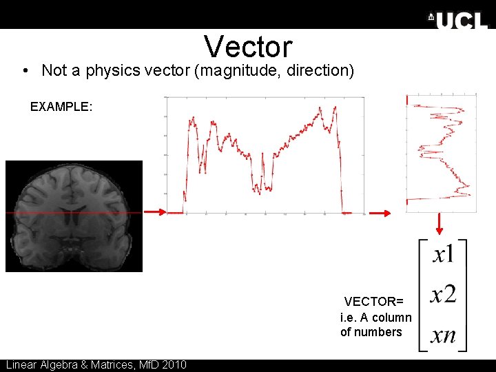 Vector • Not a physics vector (magnitude, direction) EXAMPLE: VECTOR= i. e. A column