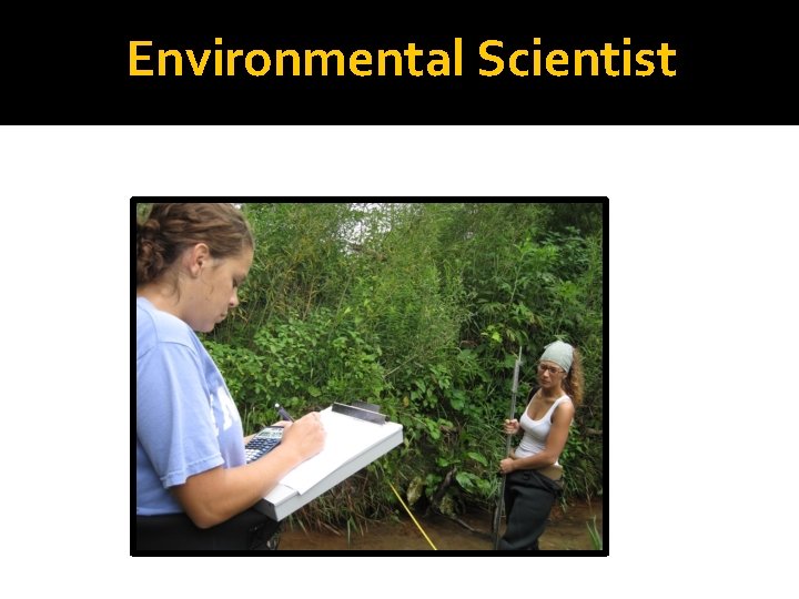 Environmental Scientist 