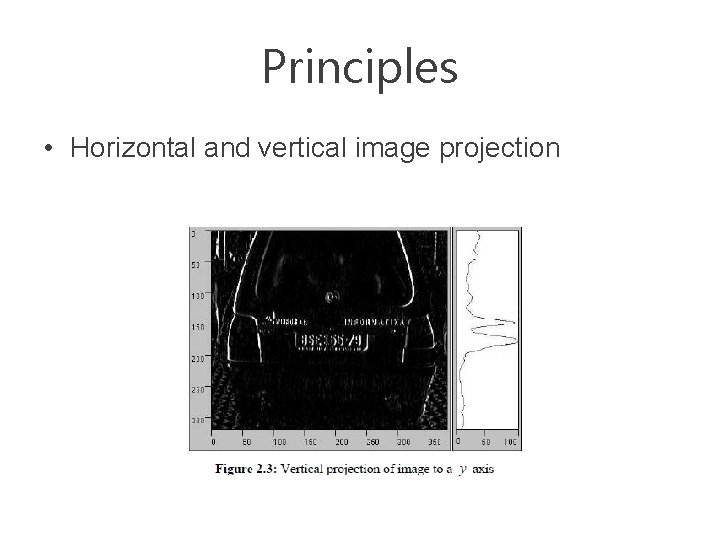 Principles • Horizontal and vertical image projection 