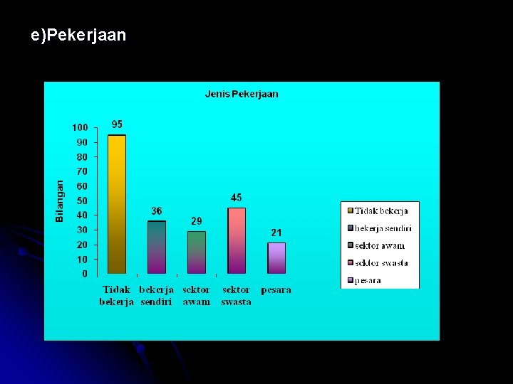 e)Pekerjaan 