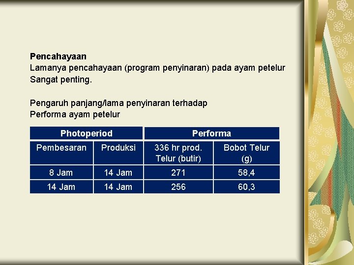 Pencahayaan Lamanya pencahayaan (program penyinaran) pada ayam petelur Sangat penting. Pengaruh panjang/lama penyinaran terhadap