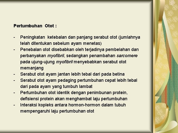 Pertumbuhan Otot : - - Peningkatan ketebalan dan panjang serabut otot (jumlahnya telah ditentukan