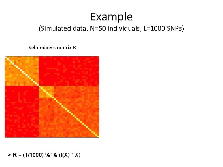 Example (Simulated data, N=50 individuals, L=1000 SNPs) Relatedness matrix R > R = (1/1000)