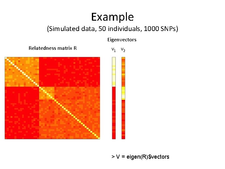 Example (Simulated data, 50 individuals, 1000 SNPs) Eigenvectors Relatedness matrix R v 1 v