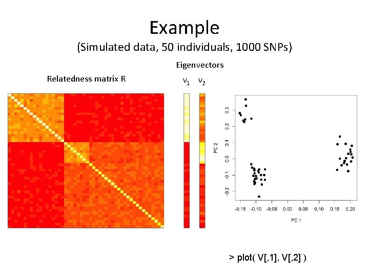 Example (Simulated data, 50 individuals, 1000 SNPs) Eigenvectors Relatedness matrix R v 1 v