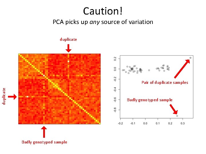 Caution! PCA picks up any source of variation duplicate Pair of duplicate samples Badly