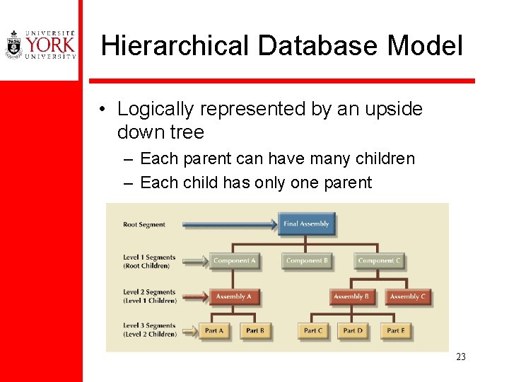 Hierarchical Database Model • Logically represented by an upside down tree – Each parent