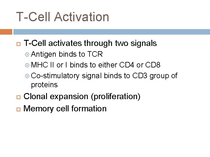 T-Cell Activation T-Cell activates through two signals Antigen binds to TCR MHC II or