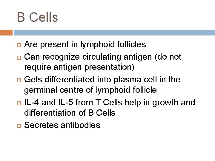 B Cells Are present in lymphoid follicles Can recognize circulating antigen (do not require