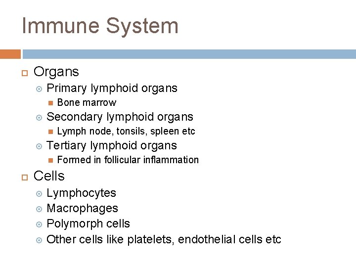 Immune System Organs Primary lymphoid organs Secondary lymphoid organs Lymph node, tonsils, spleen etc