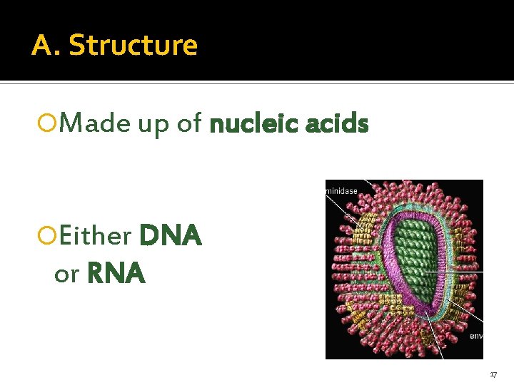 A. Structure Made up of nucleic acids Either DNA or RNA 17 