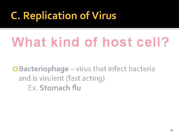 C. Replication of Virus What kind of host cell? Bacteriophage – virus that infect