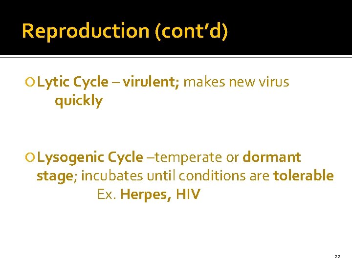 Reproduction (cont’d) Lytic Cycle – virulent; makes new virus quickly Lysogenic Cycle –temperate or