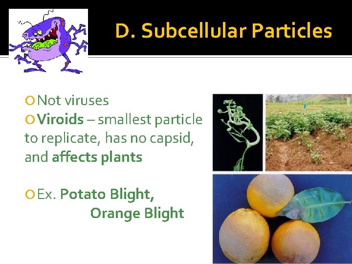D. Subcellular Particles Not viruses Viroids – smallest particle to replicate, has no capsid,
