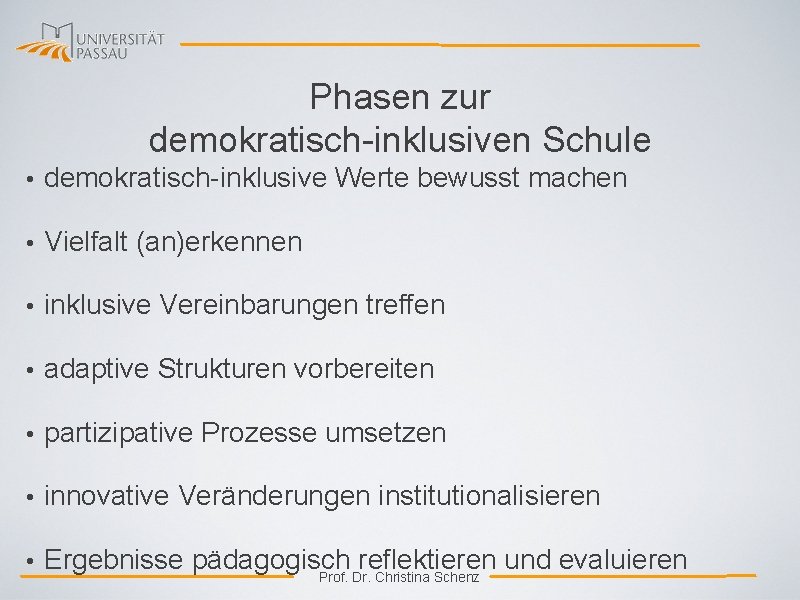 Phasen zur demokratisch-inklusiven Schule • demokratisch-inklusive Werte bewusst machen • Vielfalt (an)erkennen • inklusive