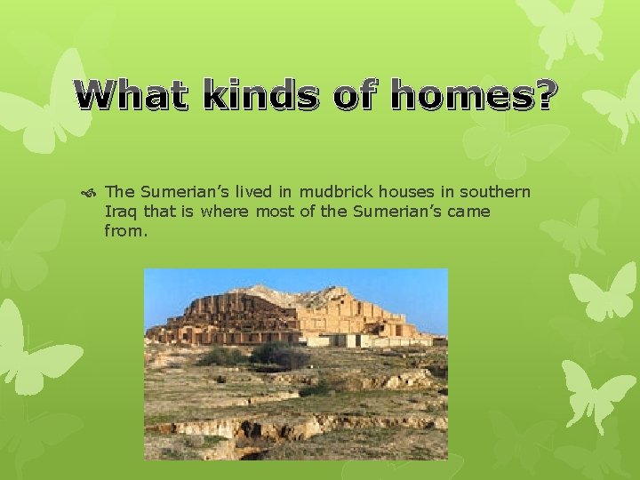 What kinds of homes? The Sumerian’s lived in mudbrick houses in southern Iraq that