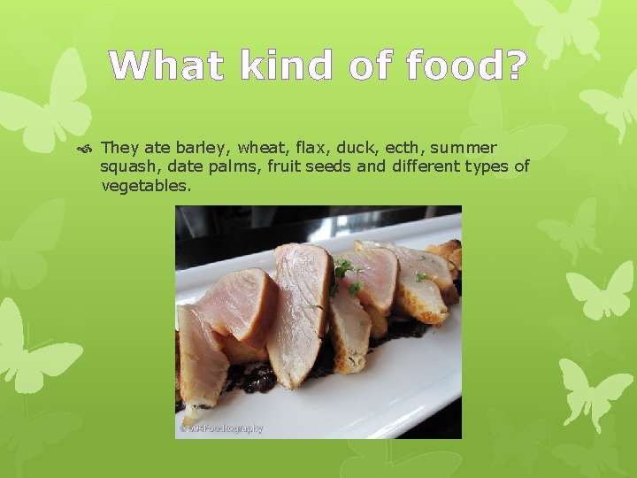 What kind of food? They ate barley, wheat, flax, duck, ecth, summer squash, date