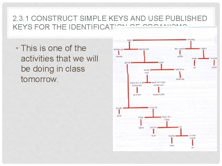2. 3. 1 CONSTRUCT SIMPLE KEYS AND USE PUBLISHED KEYS FOR THE IDENTIFICATION OF