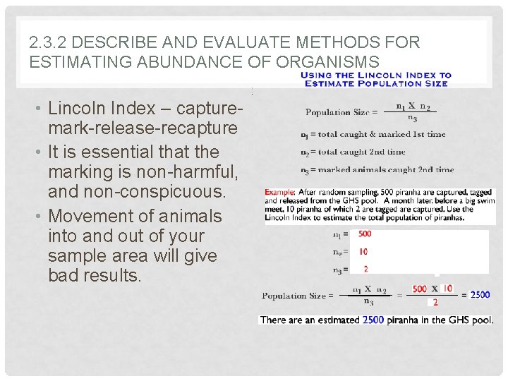 2. 3. 2 DESCRIBE AND EVALUATE METHODS FOR ESTIMATING ABUNDANCE OF ORGANISMS • Lincoln