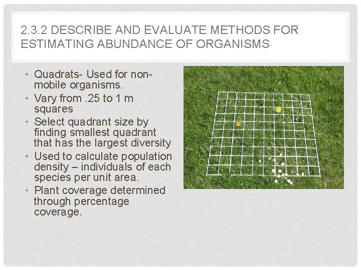 2. 3. 2 DESCRIBE AND EVALUATE METHODS FOR ESTIMATING ABUNDANCE OF ORGANISMS • Quadrats-