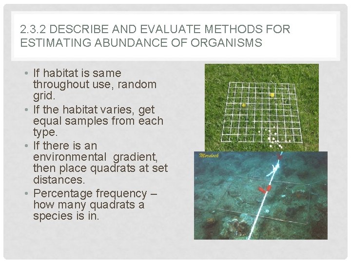 2. 3. 2 DESCRIBE AND EVALUATE METHODS FOR ESTIMATING ABUNDANCE OF ORGANISMS • If