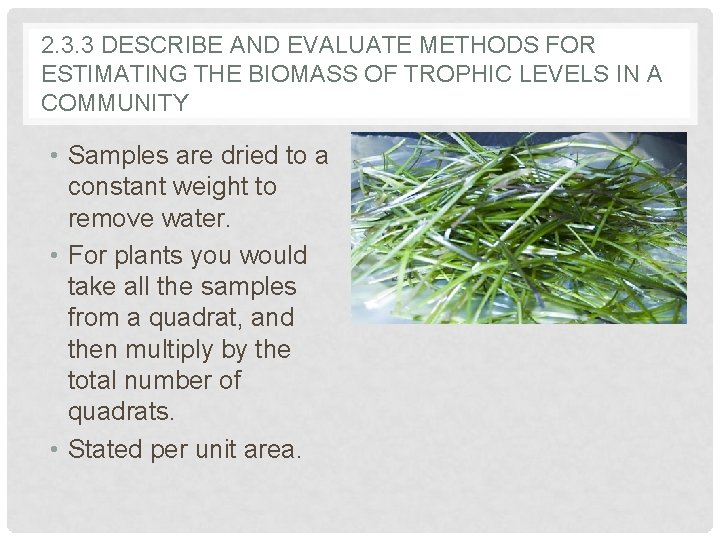 2. 3. 3 DESCRIBE AND EVALUATE METHODS FOR ESTIMATING THE BIOMASS OF TROPHIC LEVELS