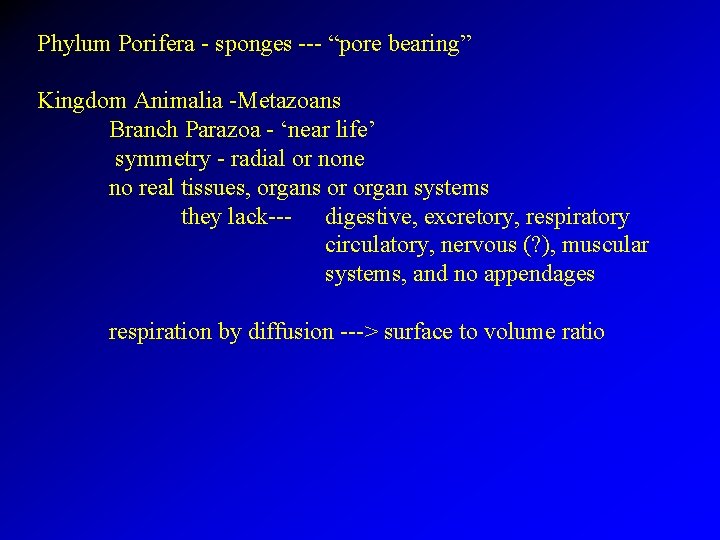 Phylum Porifera - sponges --- “pore bearing” Kingdom Animalia -Metazoans Branch Parazoa - ‘near
