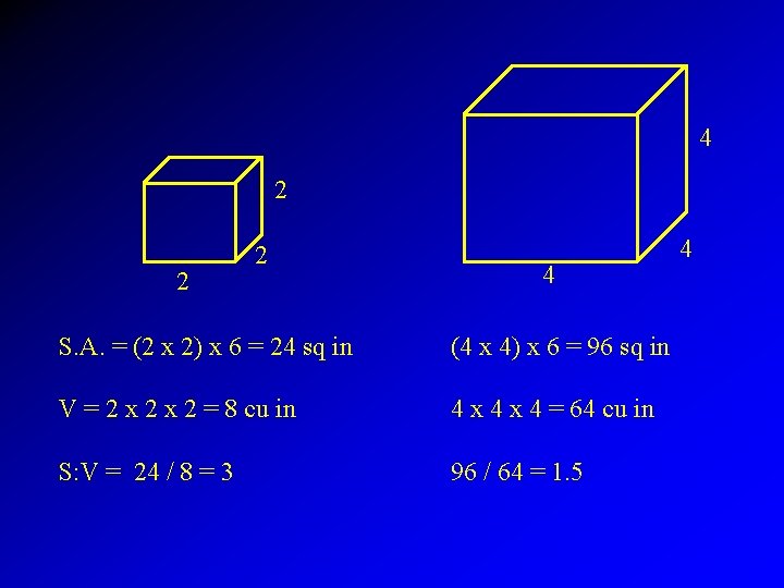 4 2 2 2 4 S. A. = (2 x 2) x 6 =
