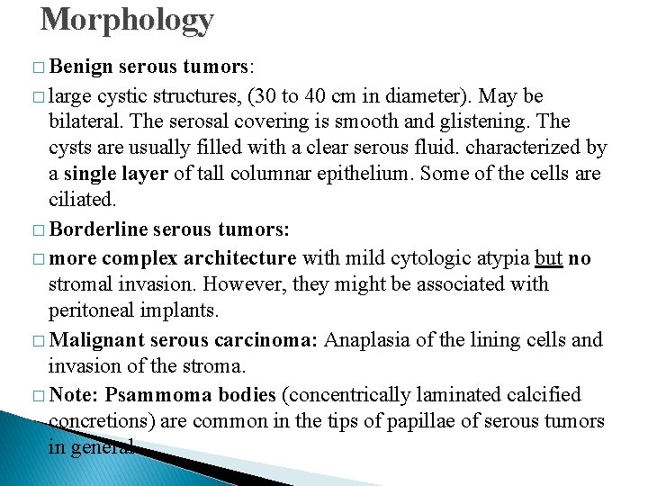Morphology � Benign serous tumors: � large cystic structures, (30 to 40 cm in