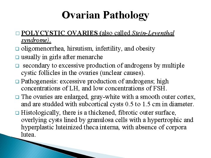 Ovarian Pathology � POLYCYSTIC OVARIES (also called Stein-Leventhal syndrome). q oligomenorrhea, hirsutism, infertility, and