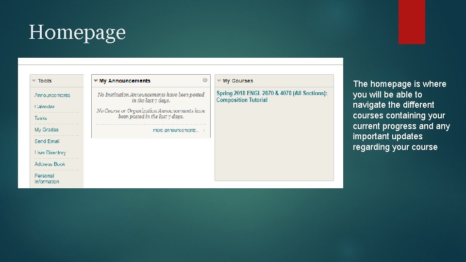 Homepage The homepage is where you will be able to navigate the different courses Homepage The homepage is where you will be able to navigate the different courses