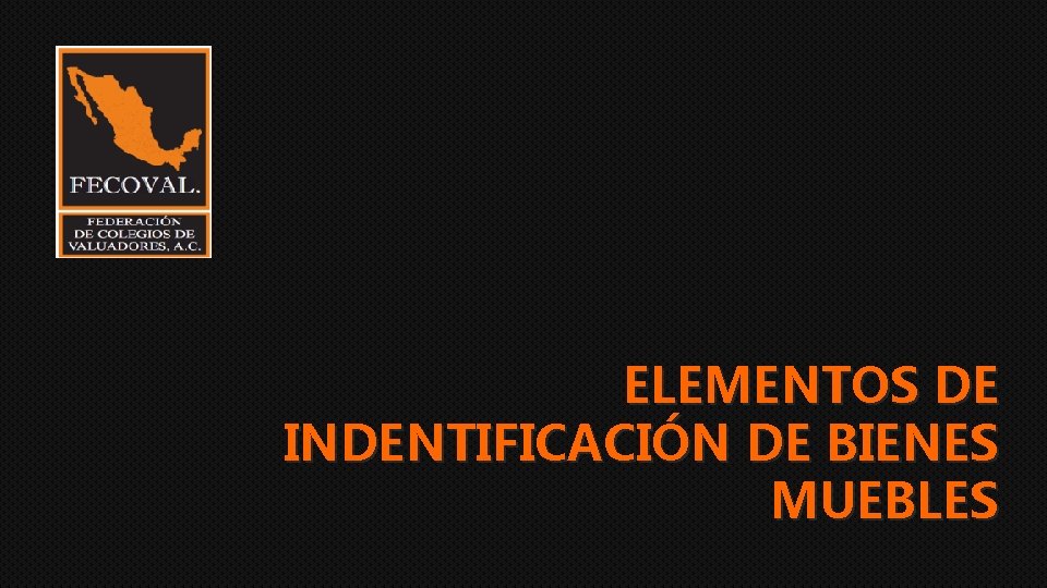 ELEMENTOS DE INDENTIFICACIÓN DE BIENES MUEBLES 