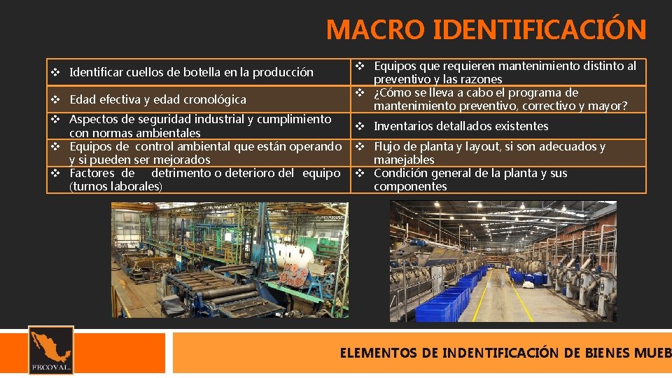 MACRO IDENTIFICACIÓN Identificar cuellos de botella en la producción Edad efectiva y edad cronológica