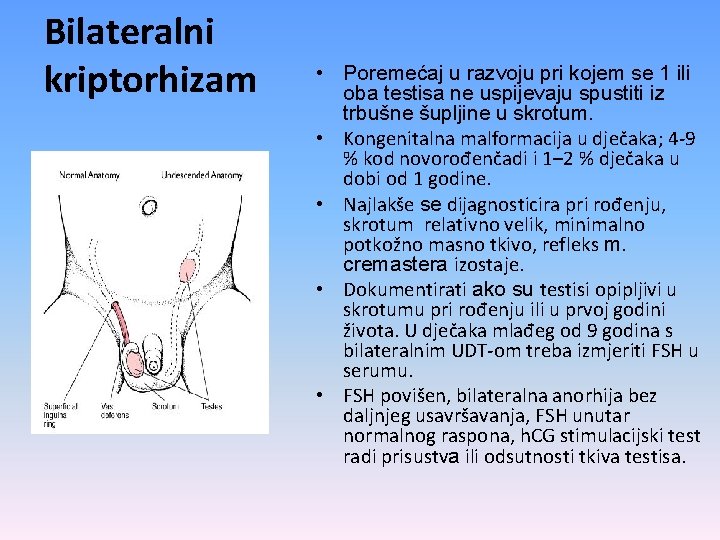 Bilateralni kriptorhizam • Poremećaj u razvoju pri kojem se 1 ili oba testisa ne