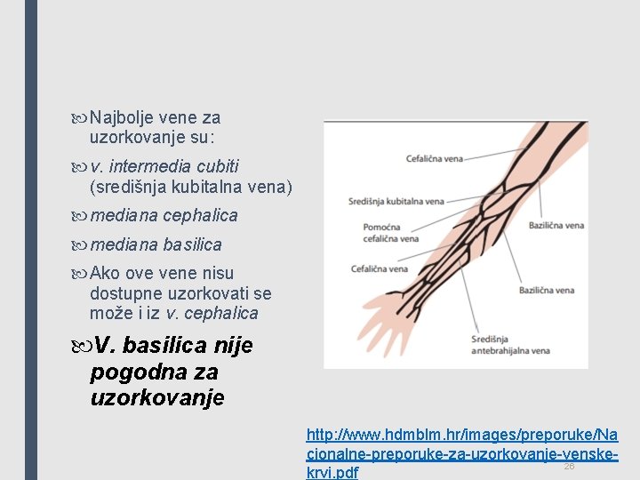  Najbolje vene za uzorkovanje su: v. intermedia cubiti (središnja kubitalna vena) mediana cephalica