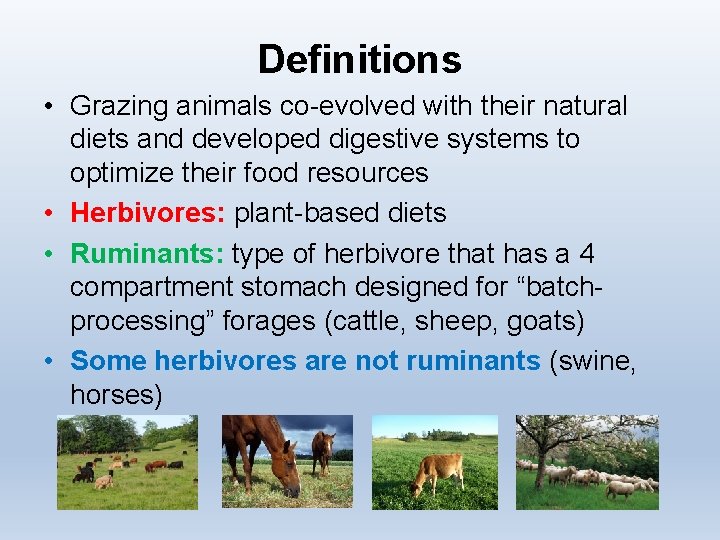 Definitions • Grazing animals co-evolved with their natural diets and developed digestive systems to