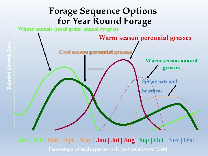 Forage Sequence Options for Year Round Forage Winter annuals (small grain/ annual ryegrass) Relative